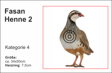 Fasan / Henne 2