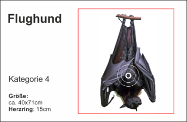 Flughund