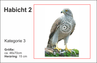 Habicht 2