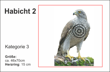 Habicht 2