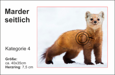 Marder seitlich