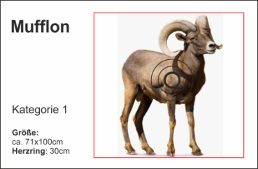 Mufflon