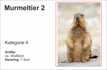 Murmeltier 2