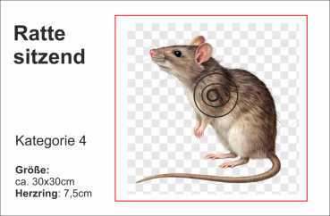 Ratte sitzend