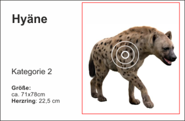 Hyäne