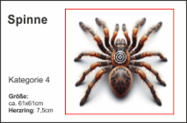 Spinne