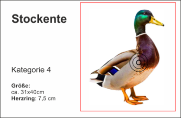 Stockente