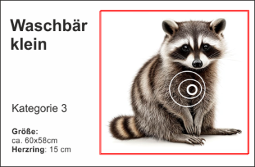 Waschbär klein