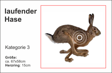 laufender Hase