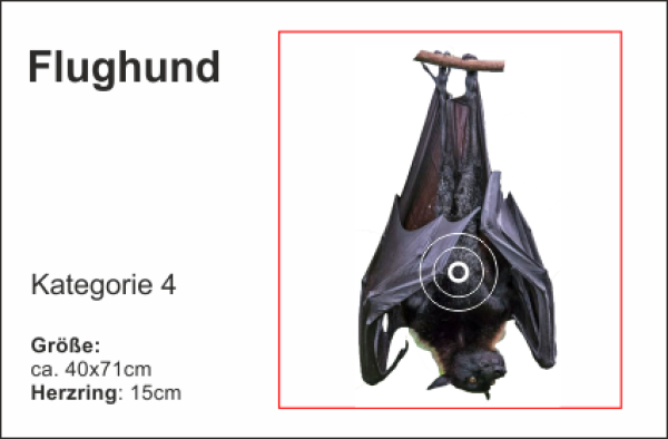 Flughund