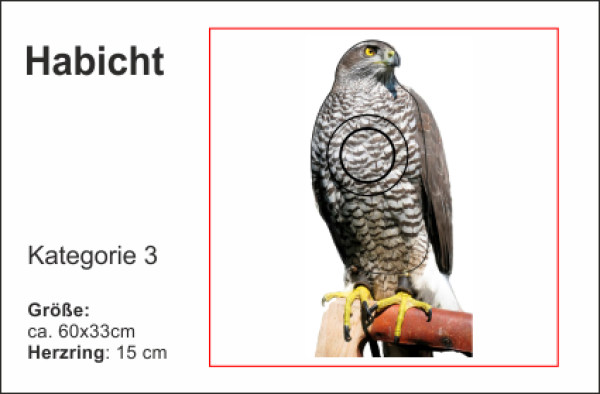Habicht