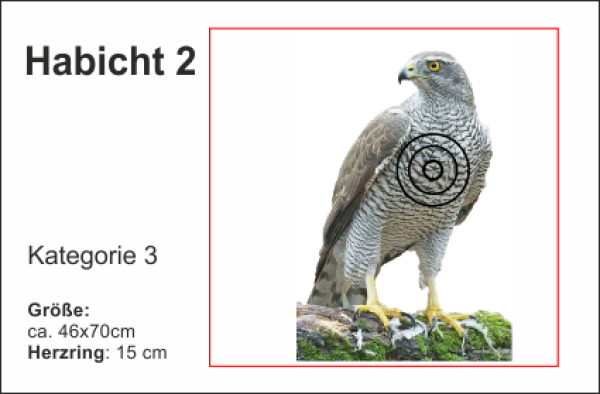 Habicht 2