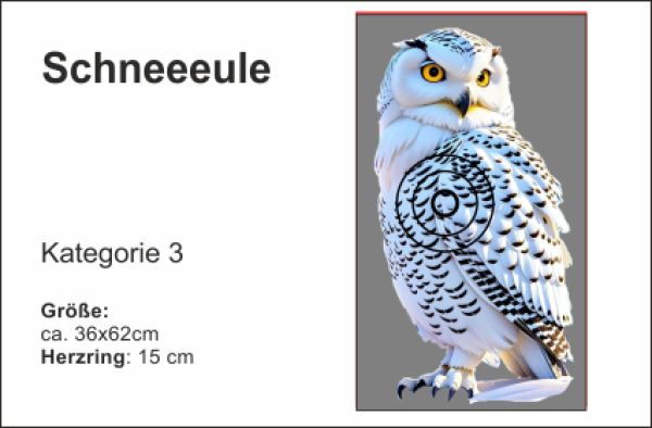 Schneeeule