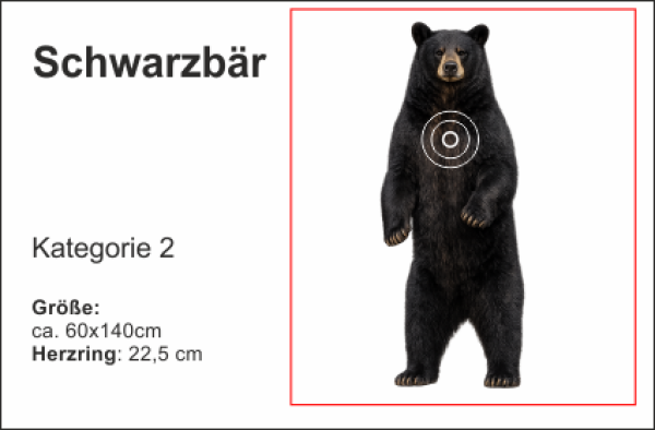 Schwarzbär stehend