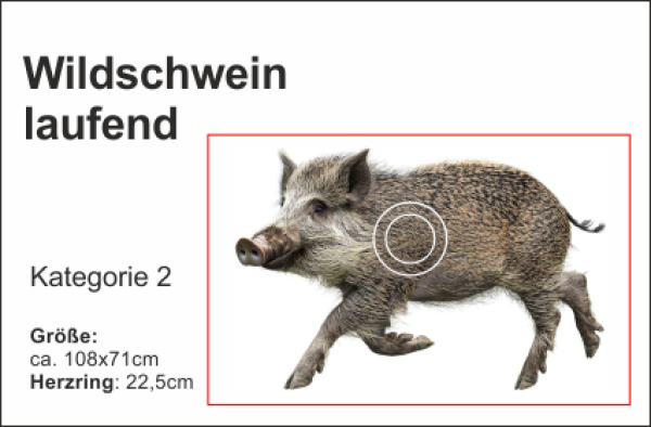 Wildschwein laufend