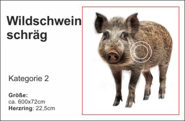 Wildschwein schräg