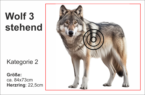 stehender Wolf3