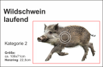 Wildschwein laufend